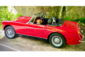 One car and it’s dog May Competition