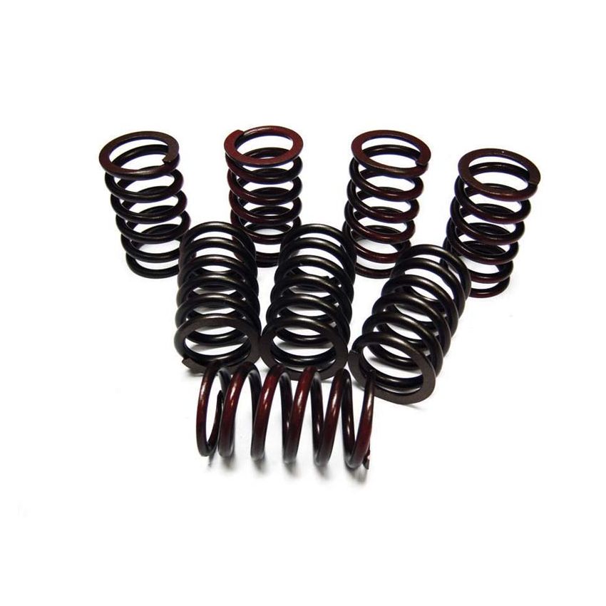 VALVE SPRING SET 18V:  MGB 71-80