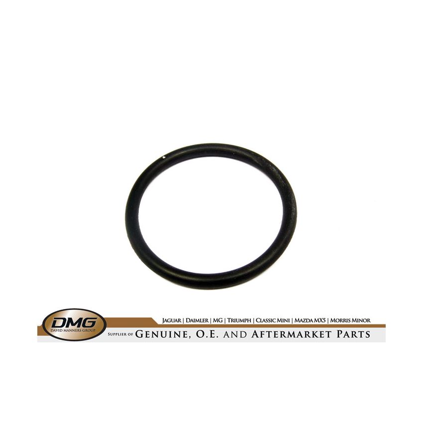 FILLER NECK O-RING:  TR8 V8