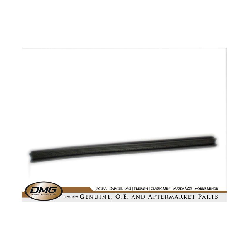 CANT RAIL SEAL (SHORT):  TR5, TR6