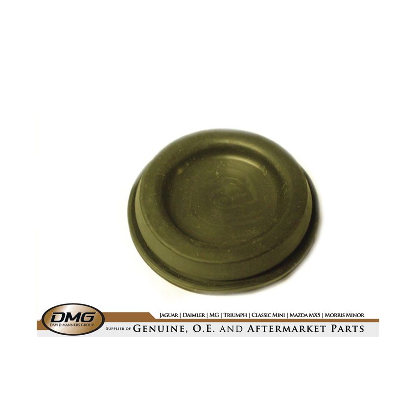 PLUG:  TR6