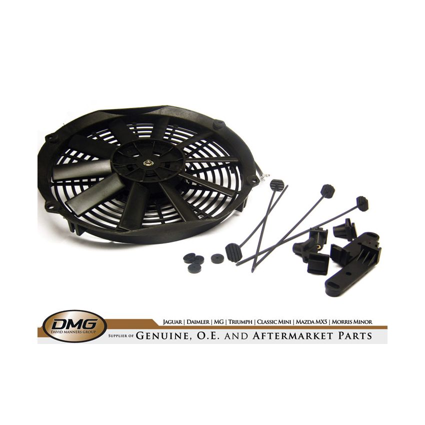 FAN 12