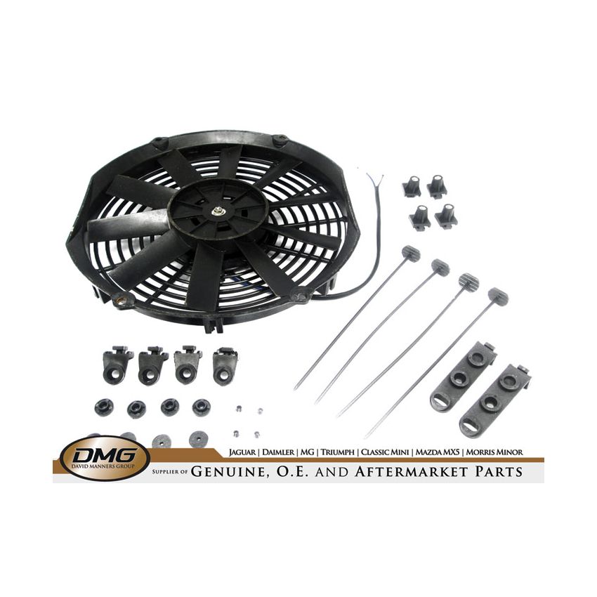FAN 12