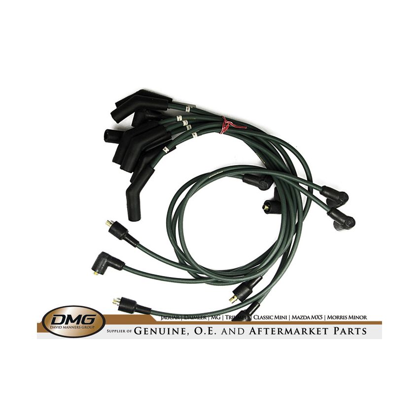 IGNITION LEAD SET:   STAG