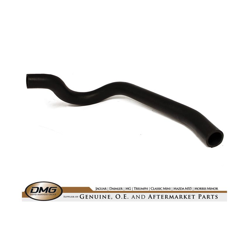 BOTTOM HOSE:  TR7