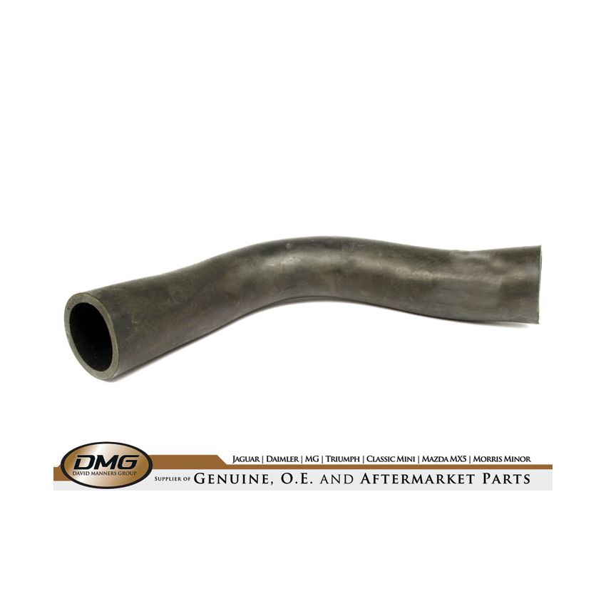 BOTTOM HOSE USA:  MIDGET