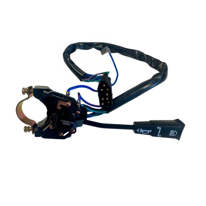 INDICATOR SWITCH:  DOLOMITE, MORGAN