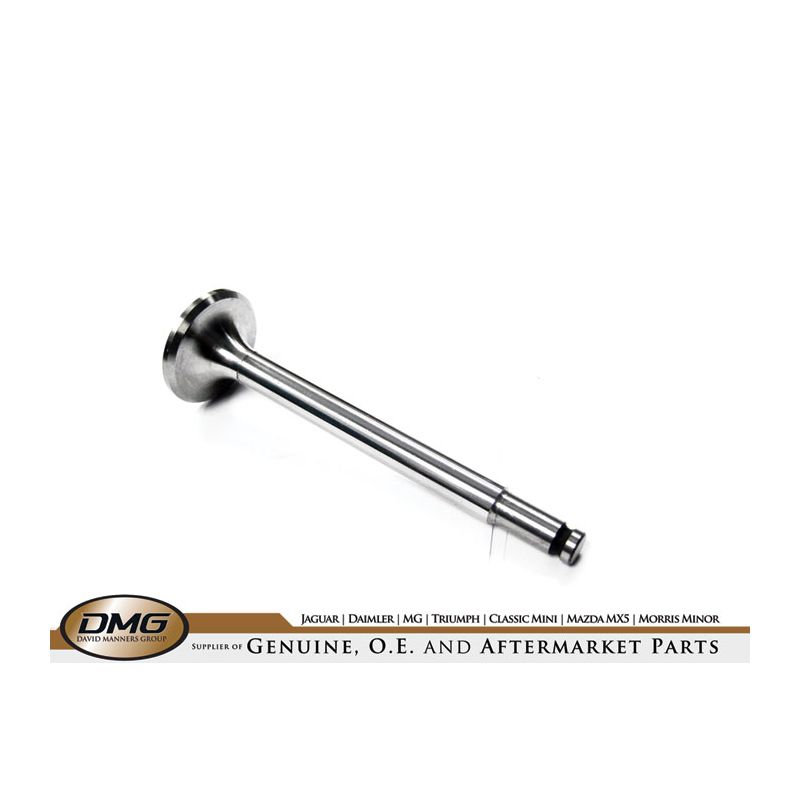 EXHAUST VALVE:  TR2, TR3, TR3A TR4