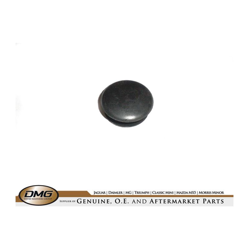 TRAILING ARM PLUG:  TR5, TR6