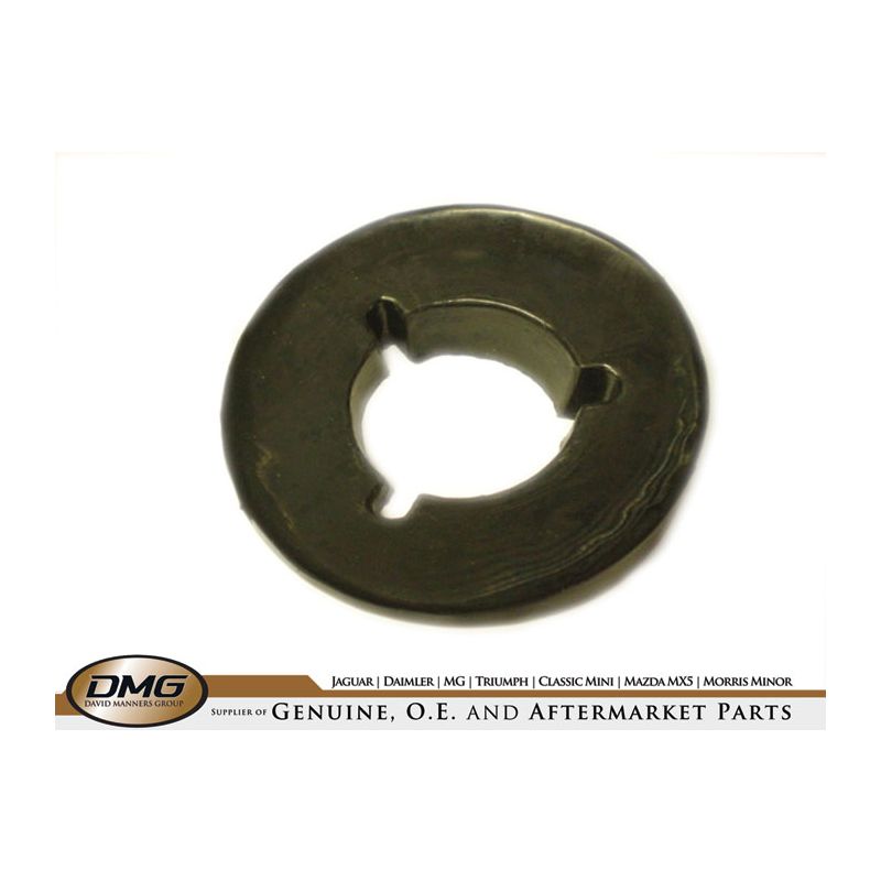 LH REVERSE LAMP PLINTH:  TR250