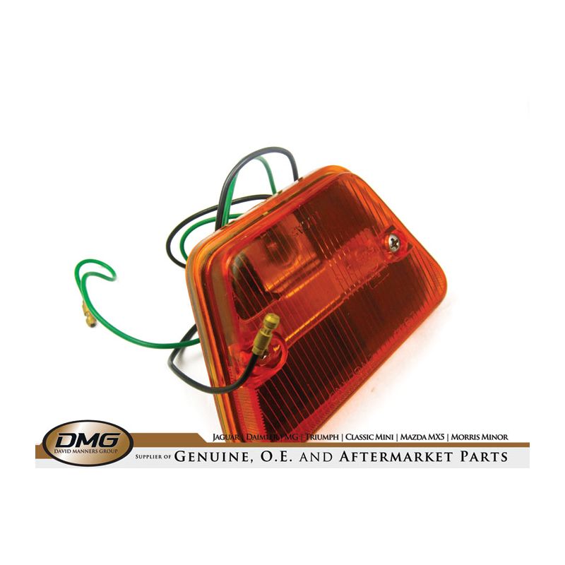 RH REPEATER LAMP ASSEMBLY:  TR6