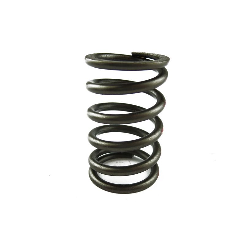 SPRING VALVE INNER:  T2500 PI, SPITFIRE