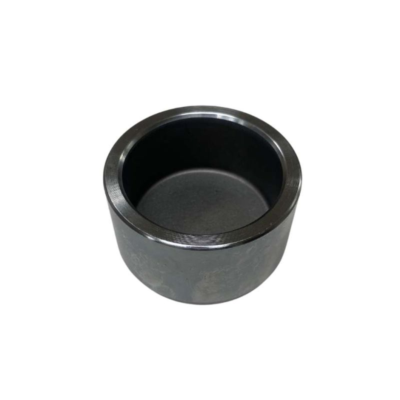 CALIPER PISTON:  S&M 1098 1275, MINI