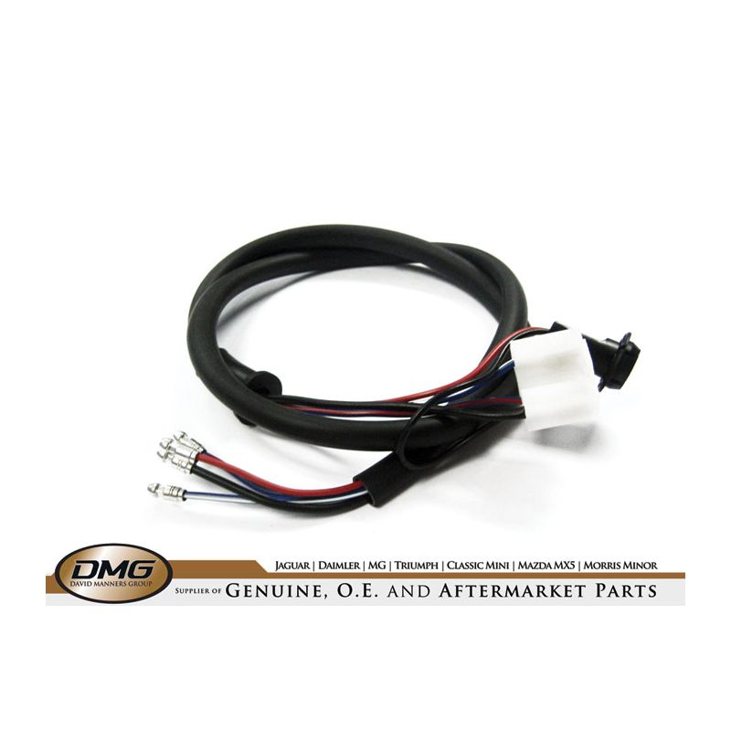 LOOM HEADLAMP + PILOT:  VARIOUS