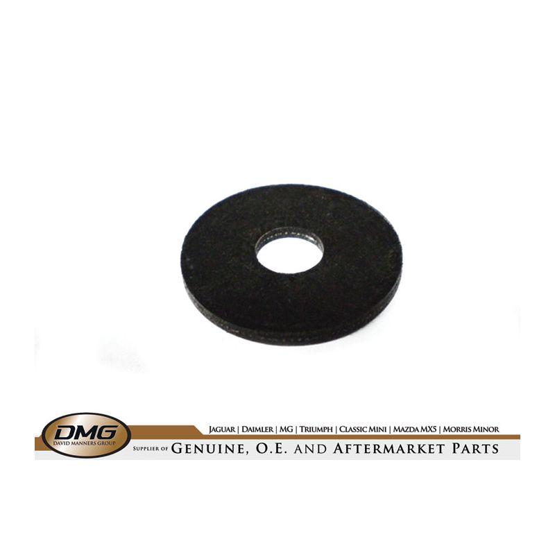 BUMPER GASKET:  STAG