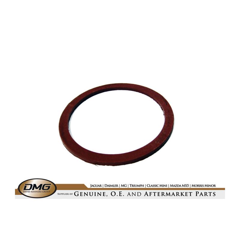 WASHER - FILTER PLUG:  TR2, TR3, TR250, AH  , STAG