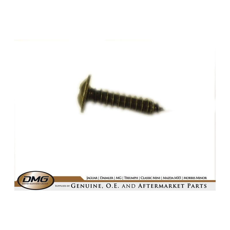 SCREW BOOT TRIM:  TR6