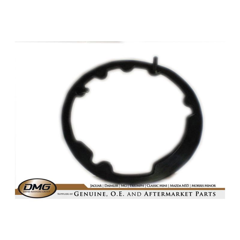 SEAL GASKET H/L BODY:  TR2, TR3, TR4, TR5, TR6