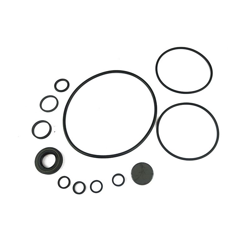 STEERING PUMP O/HAUL:  STAG