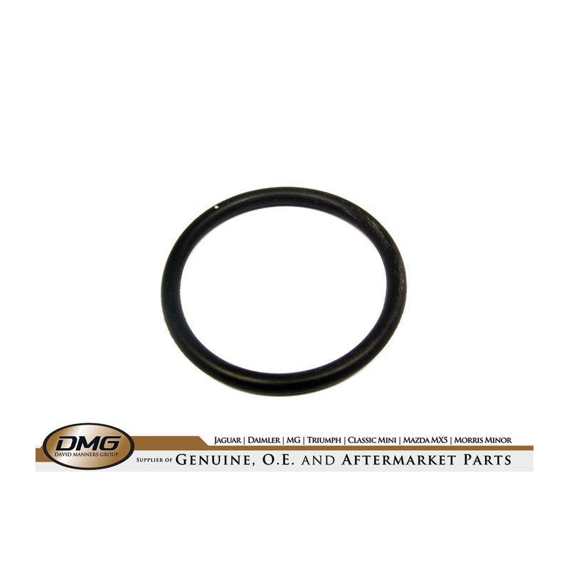 FILLER NECK O-RING:  TR8 V8