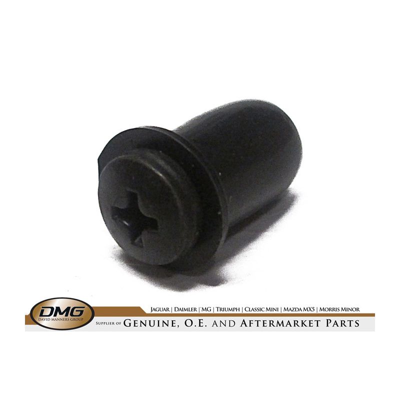 RAWL NUT & SCREW:  MGB, TR5, TR6