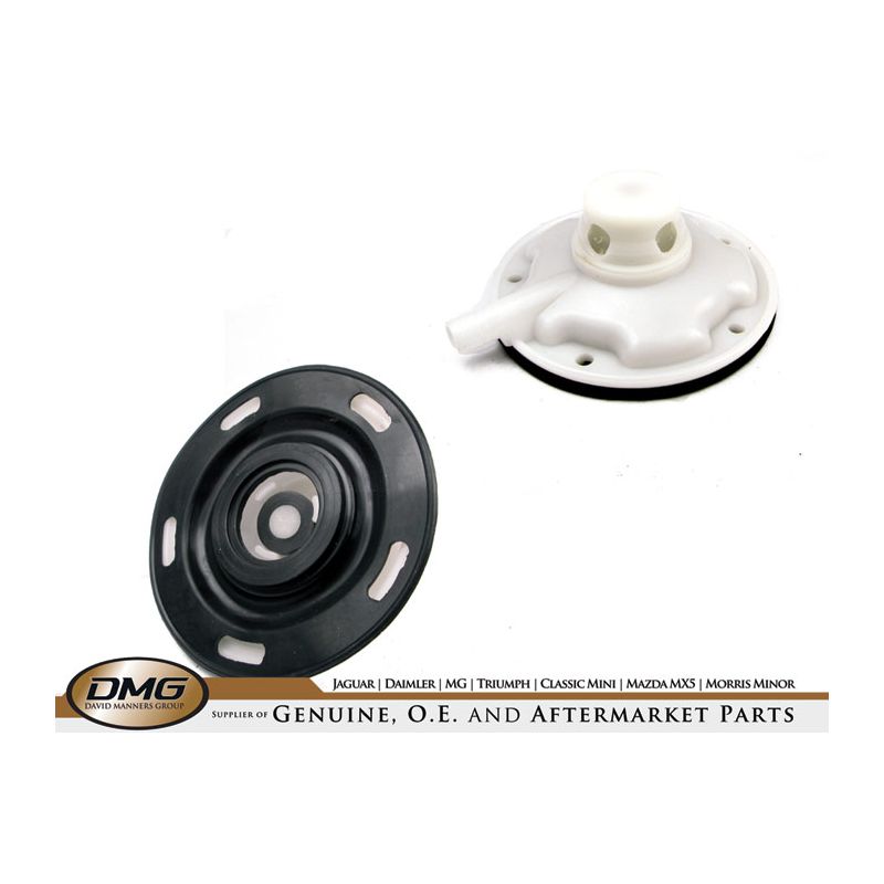 AIR VALVE & FILTER KIT:  VARIOUS, MGB 70-76, MM