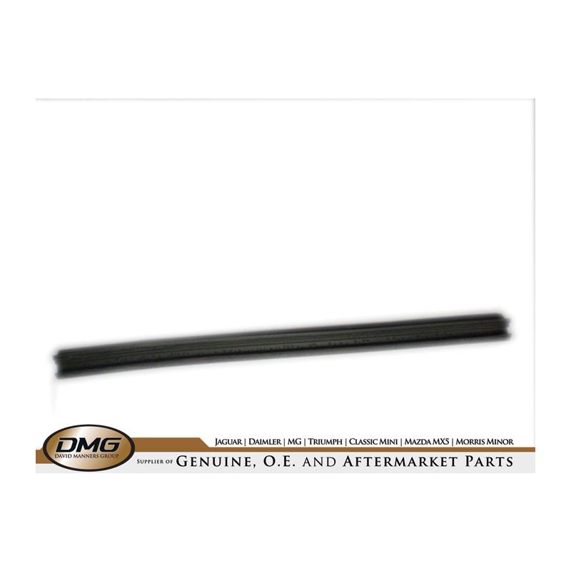 CANT RAIL SEAL (SHORT):  TR5, TR6