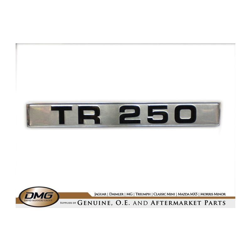 REAR WING BADGE:  TR250