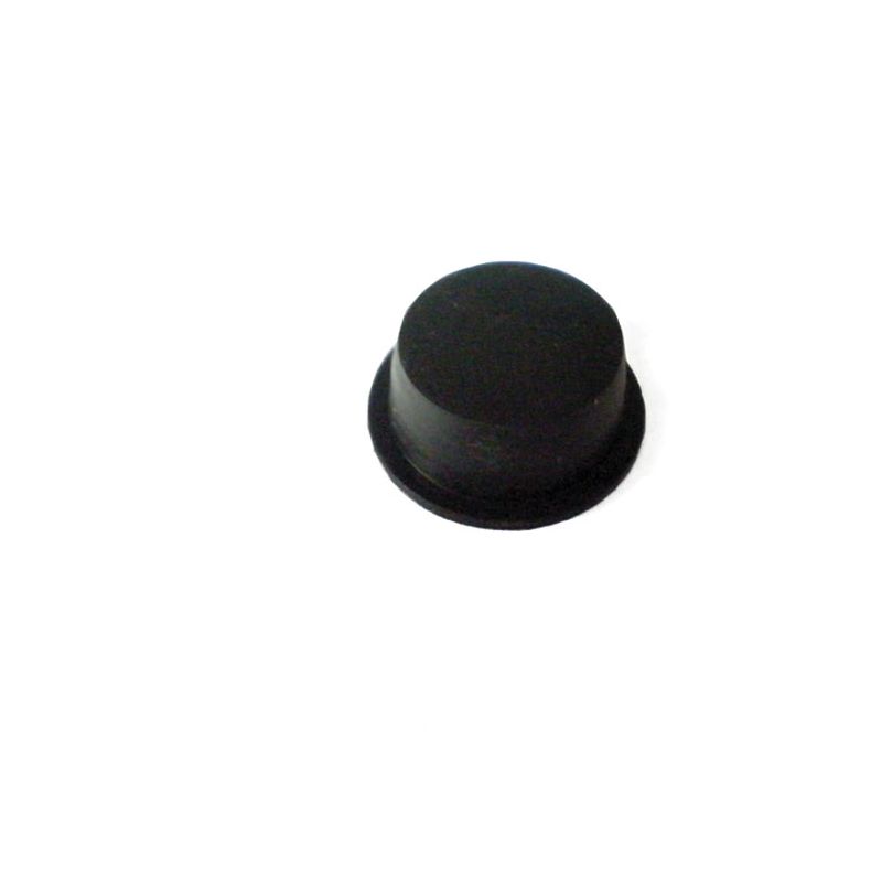 PLUG BLACK PLASTIC:  TR5, TR6