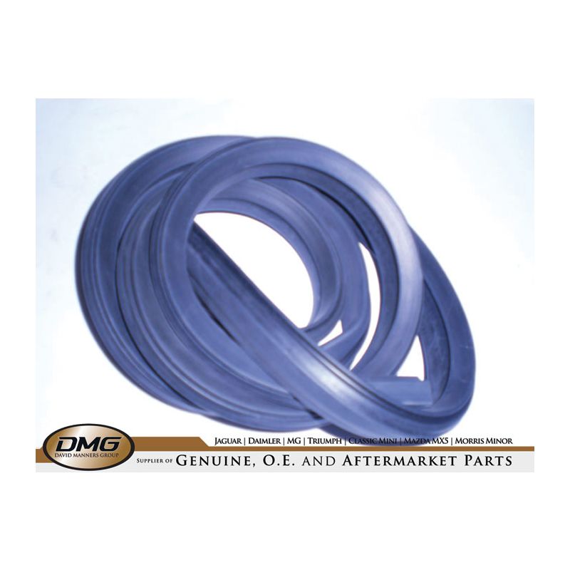 SEAL RUBBER HARD TOP RR:  TR6