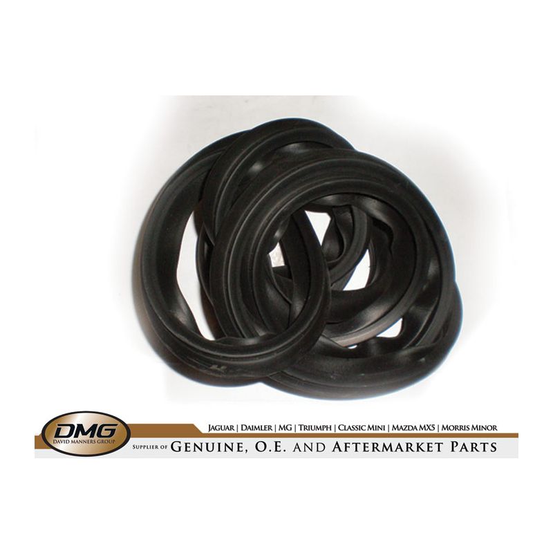 DOORSEAL:  TR4, TR4A