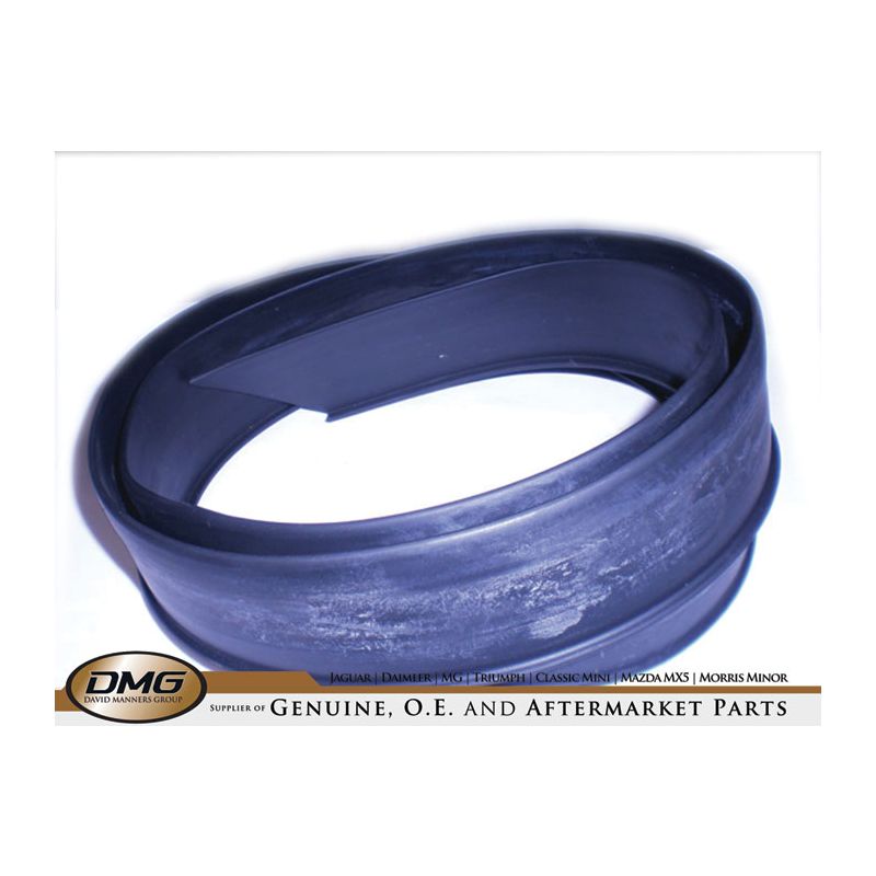 SEAL SCREEN LOWER:  TR2, TR3