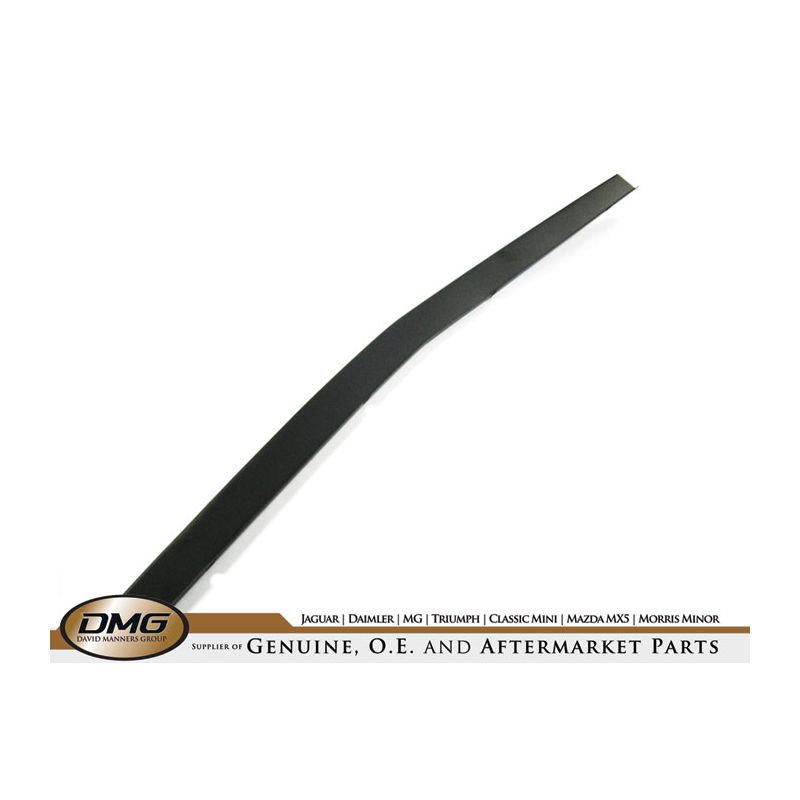 LOWER GRILLE FINISHER:  TR6