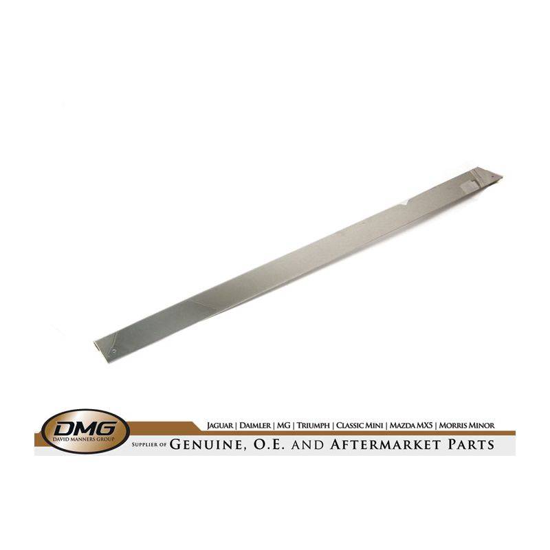 LH SILL FINISHER (S/STEEL):  TR2, TR3, TR3A