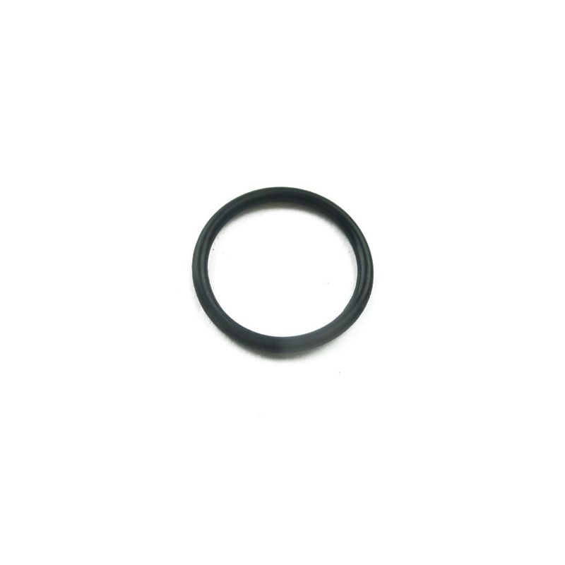 FUEL PUMP O-RING:  MGB, MGC, AH 100 AH3000