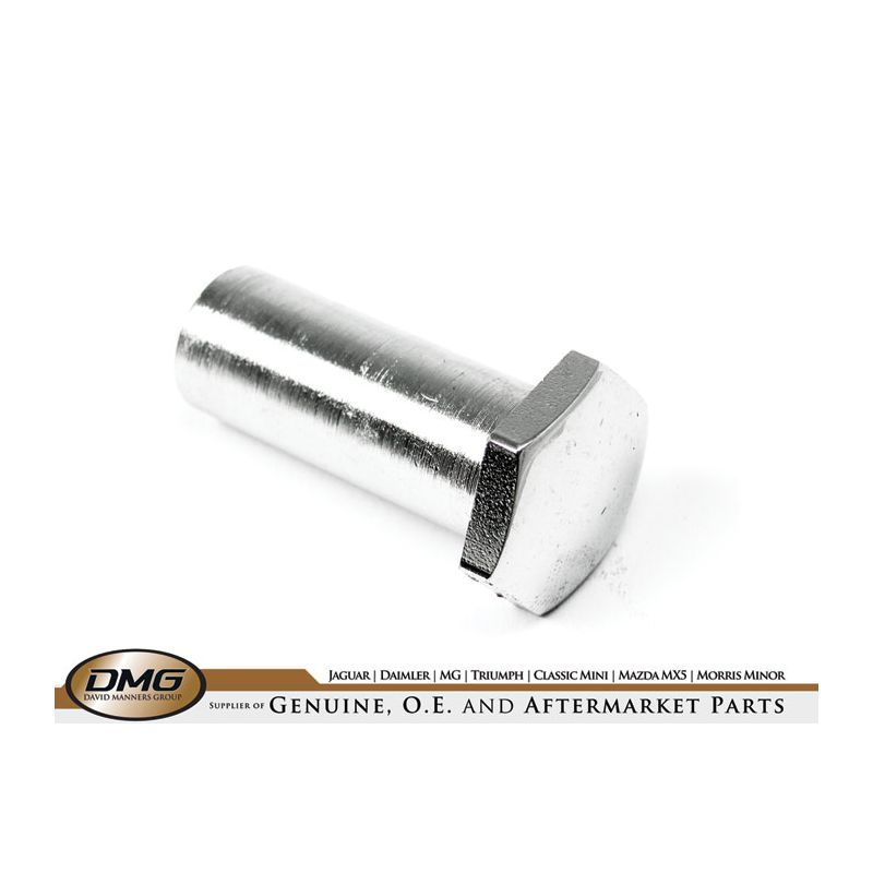 CHROME NUT:  S&M, MINI