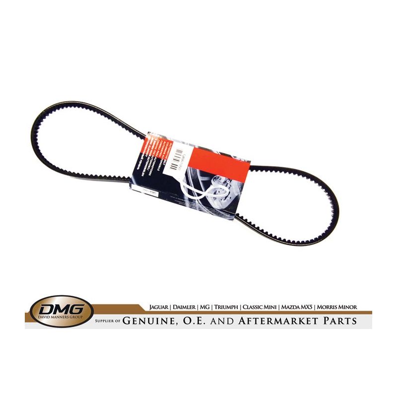 FAN BELT:  VITESSE 1600