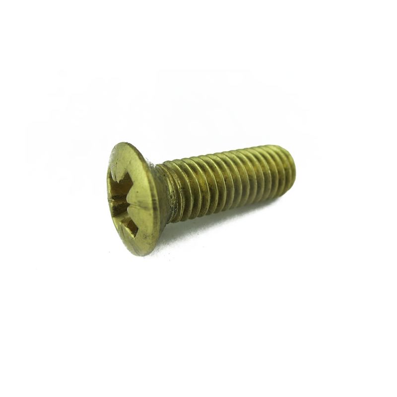 FLOOR COVER SCREW:  MORRIS MINOR