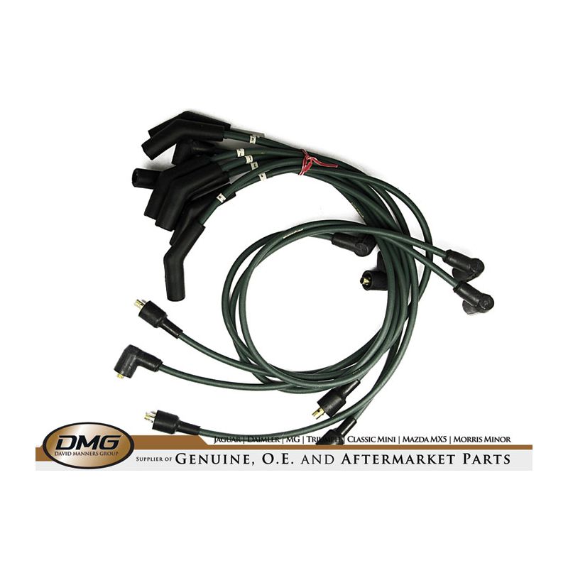 IGNITION LEAD SET:   STAG