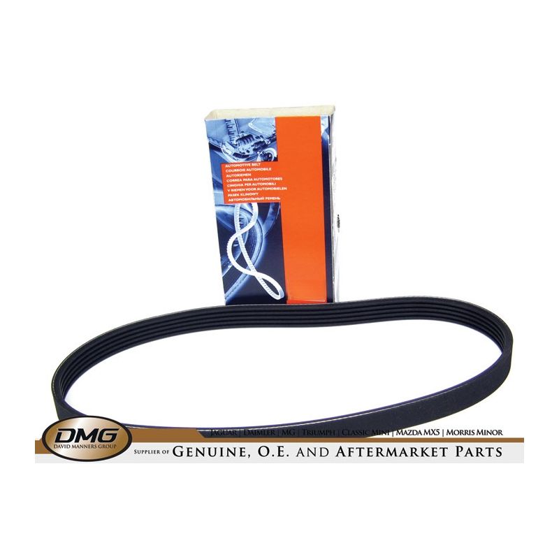 ALTERNATOR BELT NON A/C:  MGF MG TF