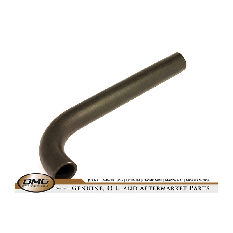 BOTTOM HOSE REPRO:  VITESSE