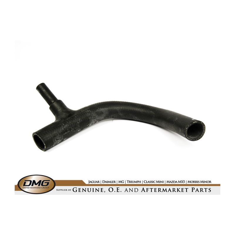 BOTTOM HOSE:  S&M 70-74