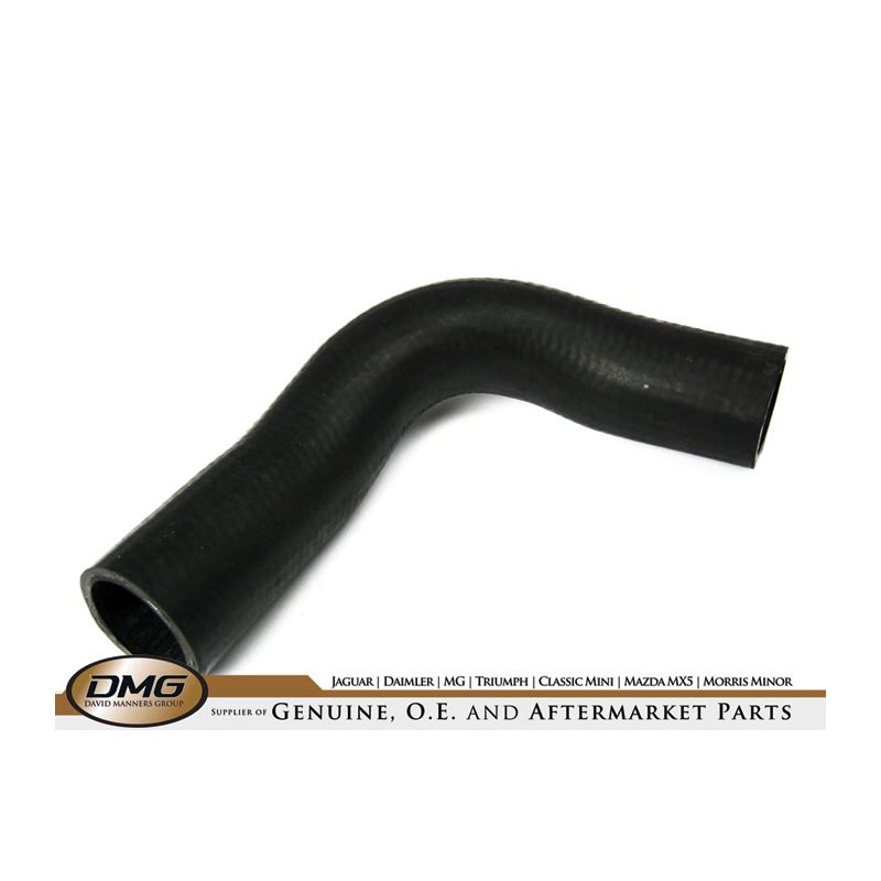 TOP HOSE:  MIDGET 74-80