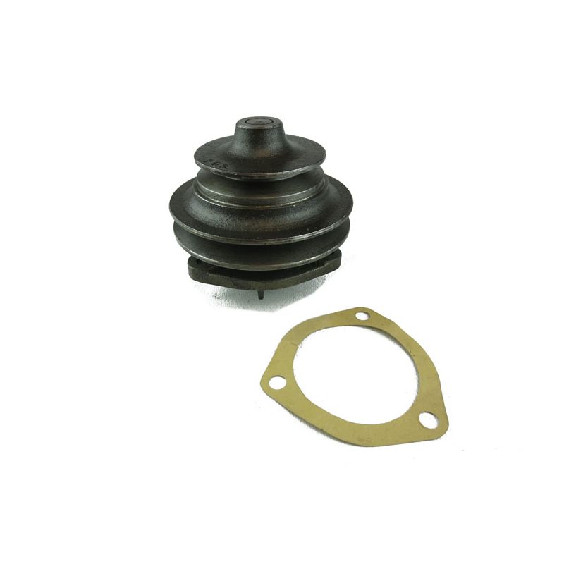 WATER PUMP USA:  TR6