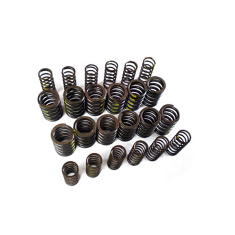 VALVE SPRINGS U/R (SET 12):  TR5, TR6