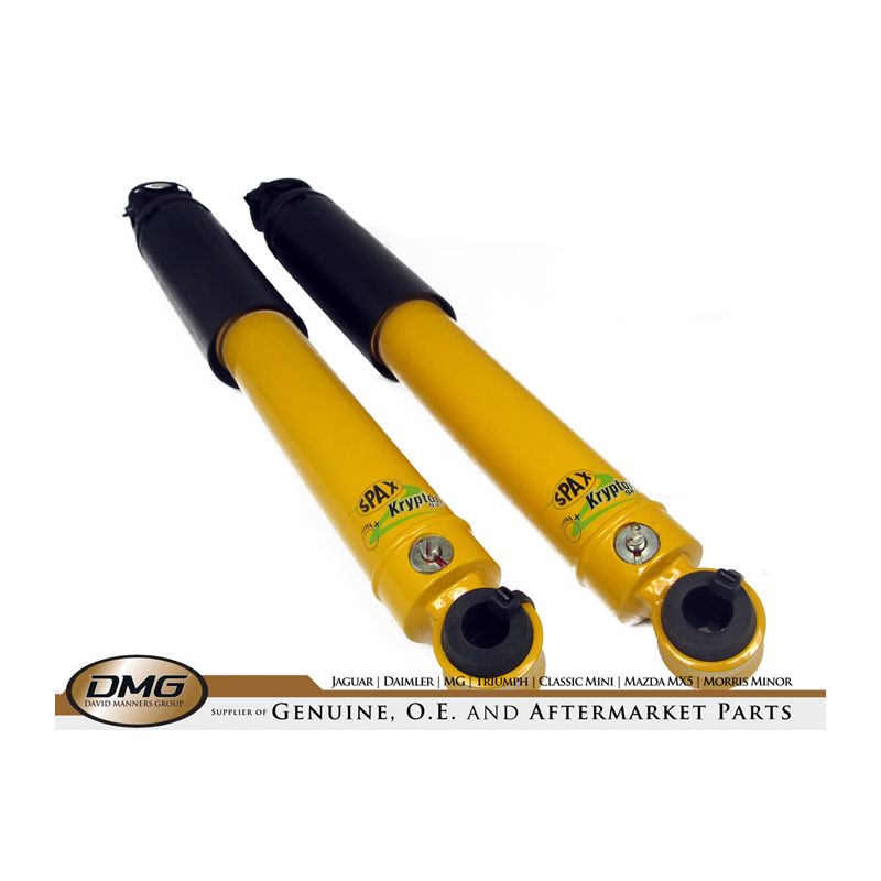 REAR TELESCOPIC SHOCK ABSORBER (SPAX):  TR2, TR3