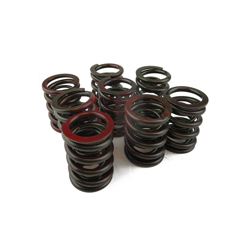 VALVE SPRING SET:  MIDGET 1500