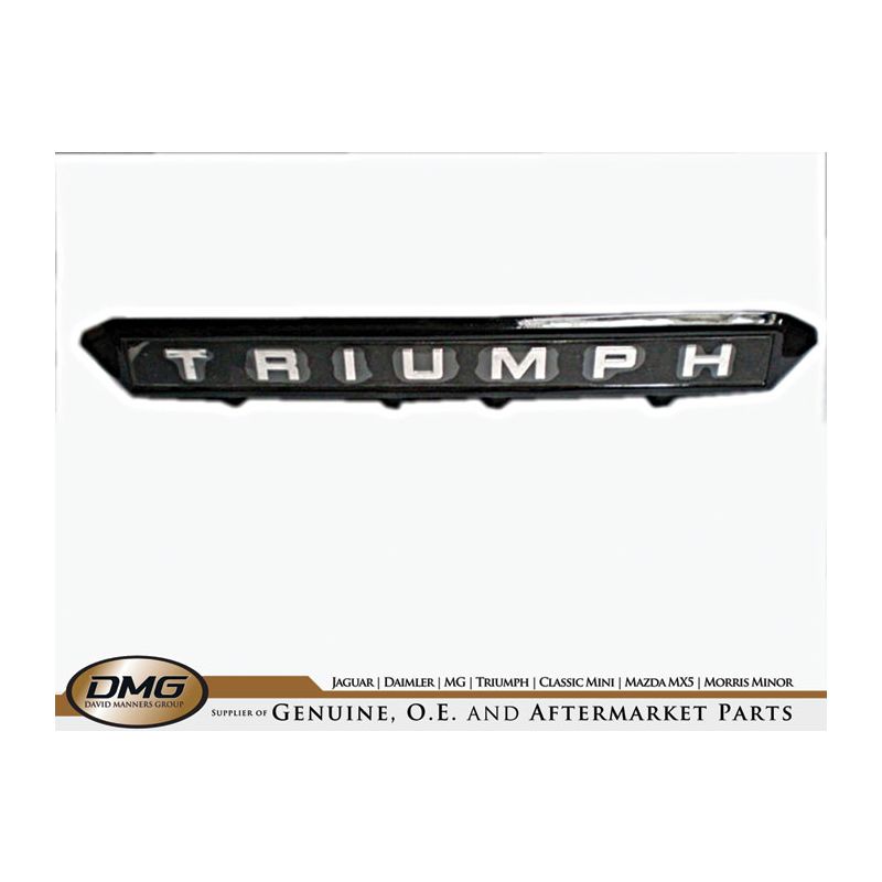 REAR NUMBER PLATE PLINTH:  TR6 75-76