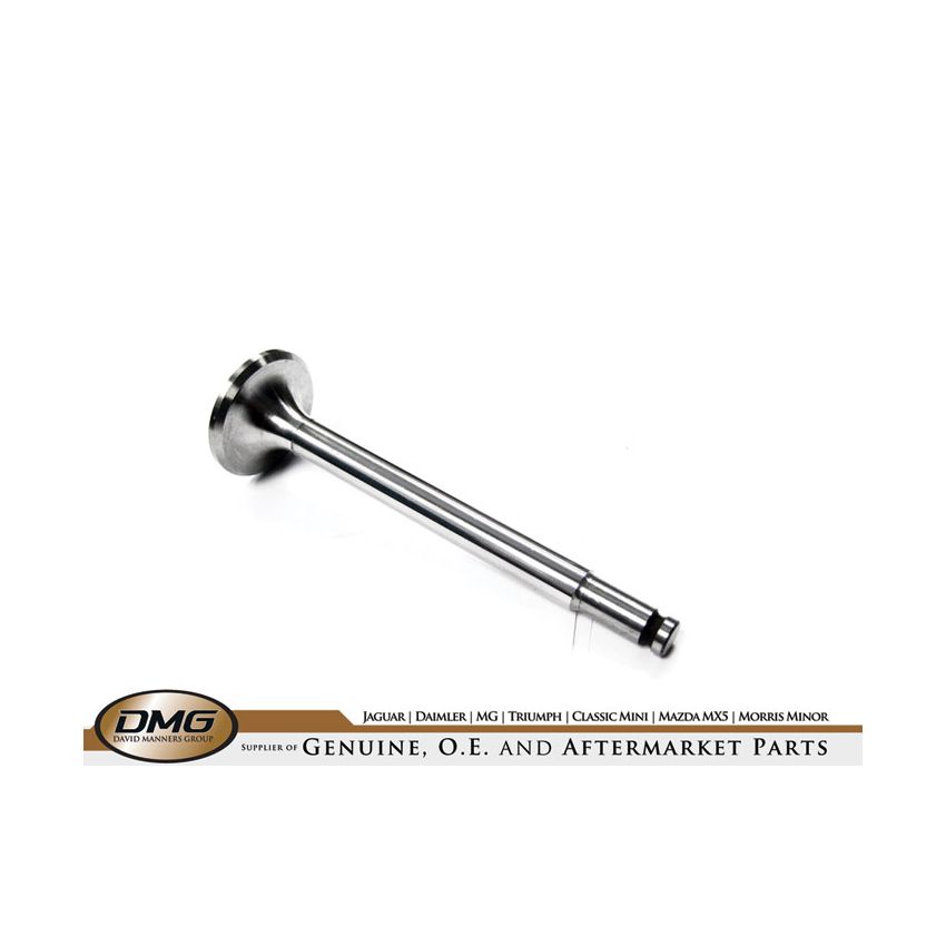EXHAUST VALVE:  TR2, TR3, TR3A TR4