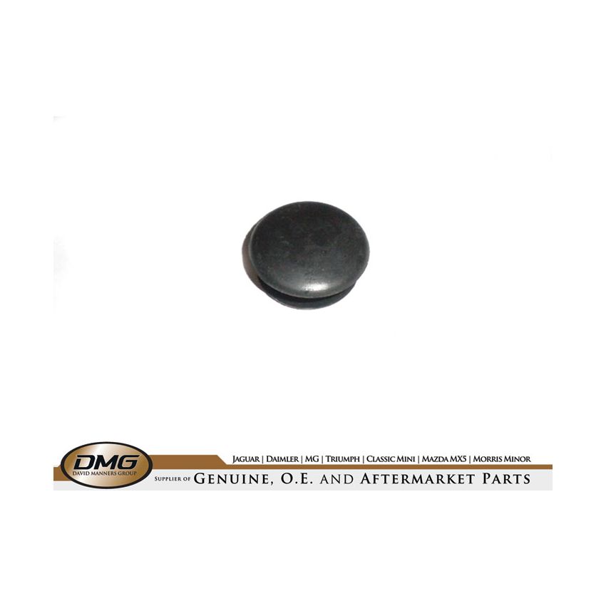 TRAILING ARM PLUG:  TR5, TR6